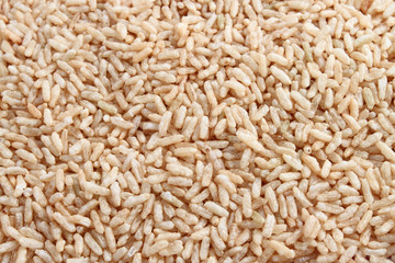 Brown  rice
