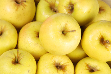 apple