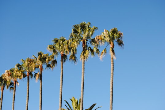 cannes