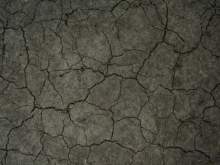 Cracked soil background