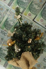 mała choinka leży na banktnotach