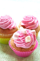 Small vanilla cupcakes with strawberry icing