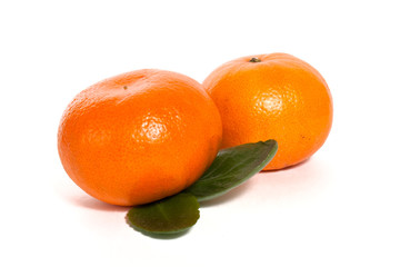 mabdarins
