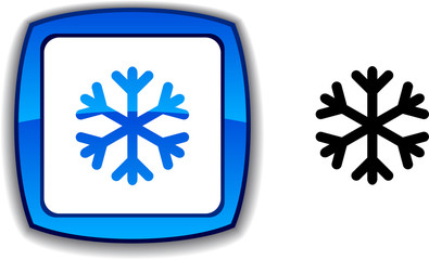 Snowflake  button.