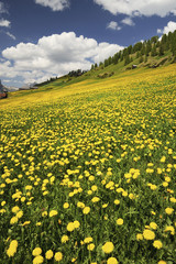 Fototapeta premium Montagna, Dolomiti, Alpi, Italia