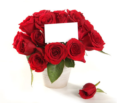 Roses in a Pot With Blank Message Sign