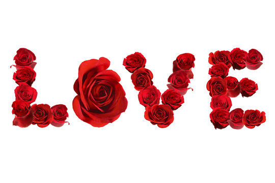 LOVE Spelled With Isolated Red Roses on White