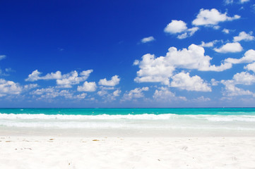 tropical beach