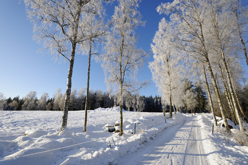 road through snow-scape