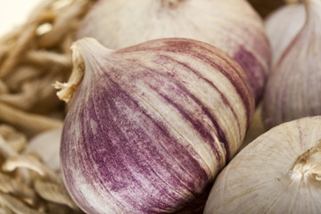 Obraz premium Roter Knoblauch (Allium Ampeloprasum)