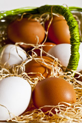 eggs out of the basket 5
