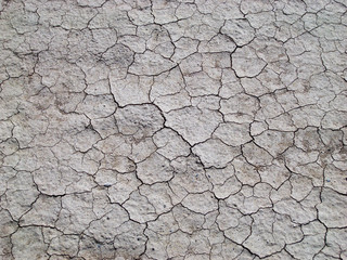 Grey cracked earth