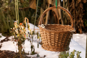 cesto di vimini