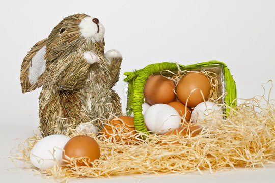 eggs out of the basket with bunny