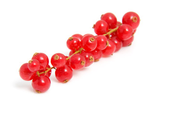 cluster red berries in closeup over white background