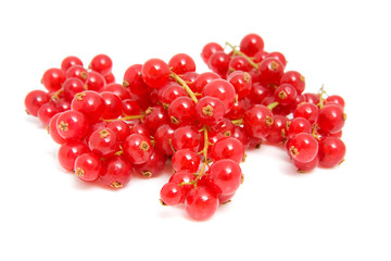 cluster red berries in closeup over white background