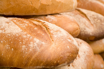Whole wheat bread. Shallow focus.