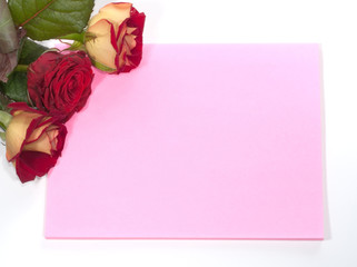 Card and roses isolated on white background