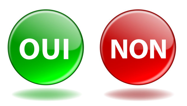 Boutons Web OUI & NON (Positif Négatif Vote Avis Réponse Yes No)