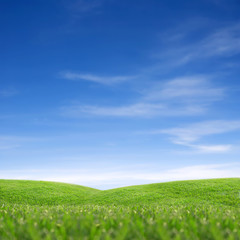 grass and sky