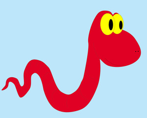 worm