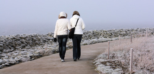winterspaziergang an der nordseeküste