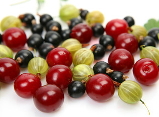 Ripe berries