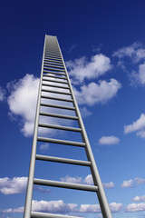 Ladders to skyhigh success