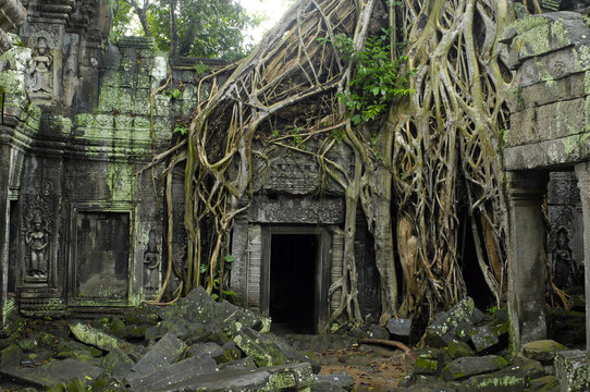 Angkor / Ta Prohm-Temple