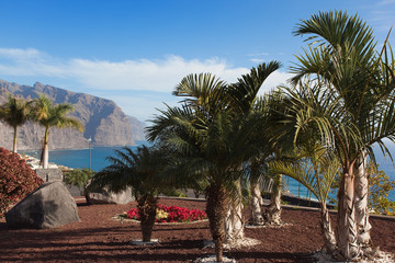 Los Gigantes - Teneriffa