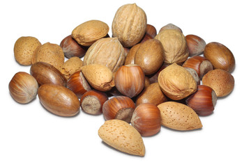 Mixed nuts on a white background
