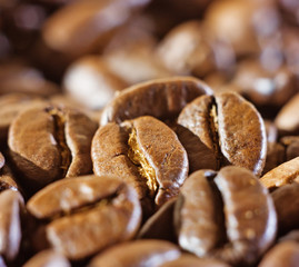coffee beans, close-up