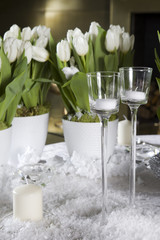 Decoration of dining table for Valentine's Day. White tulip.