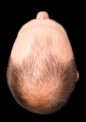 Bald head cut-out