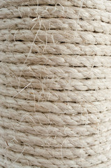 Sisal