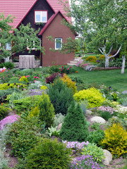 Flowers near the rural house