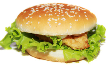 Tasty hamburger isolated on white background