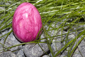 Color Easter Egg with Stones and grass