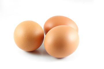 eggs
