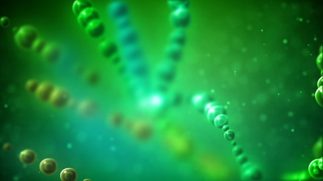 Molecule structure