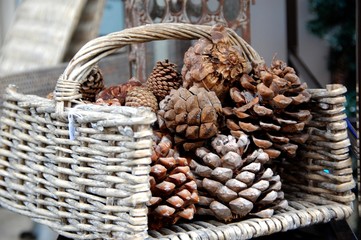 Obraz premium brocante goult