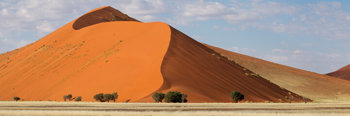 Red sand dune, Sossusvlei, Namibia, southern Africa - obrazy, fototapety, plakaty