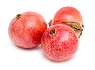 Pomegranate isolated