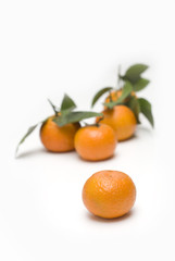 oranges with leaves backgrounds