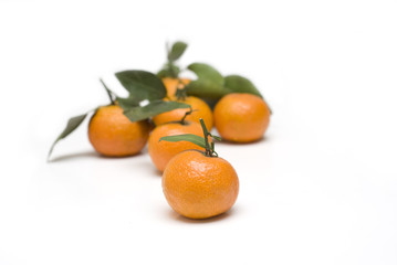 oranges with leaves backgrounds