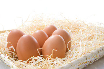 Eggs of hen in straw