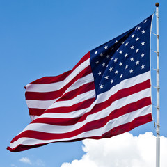 American Flag - 19481069
