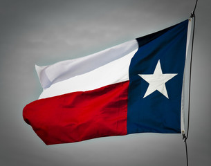 New Texas Flag - 19483206