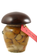 Pickled bolete