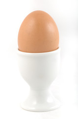 Chicken egg